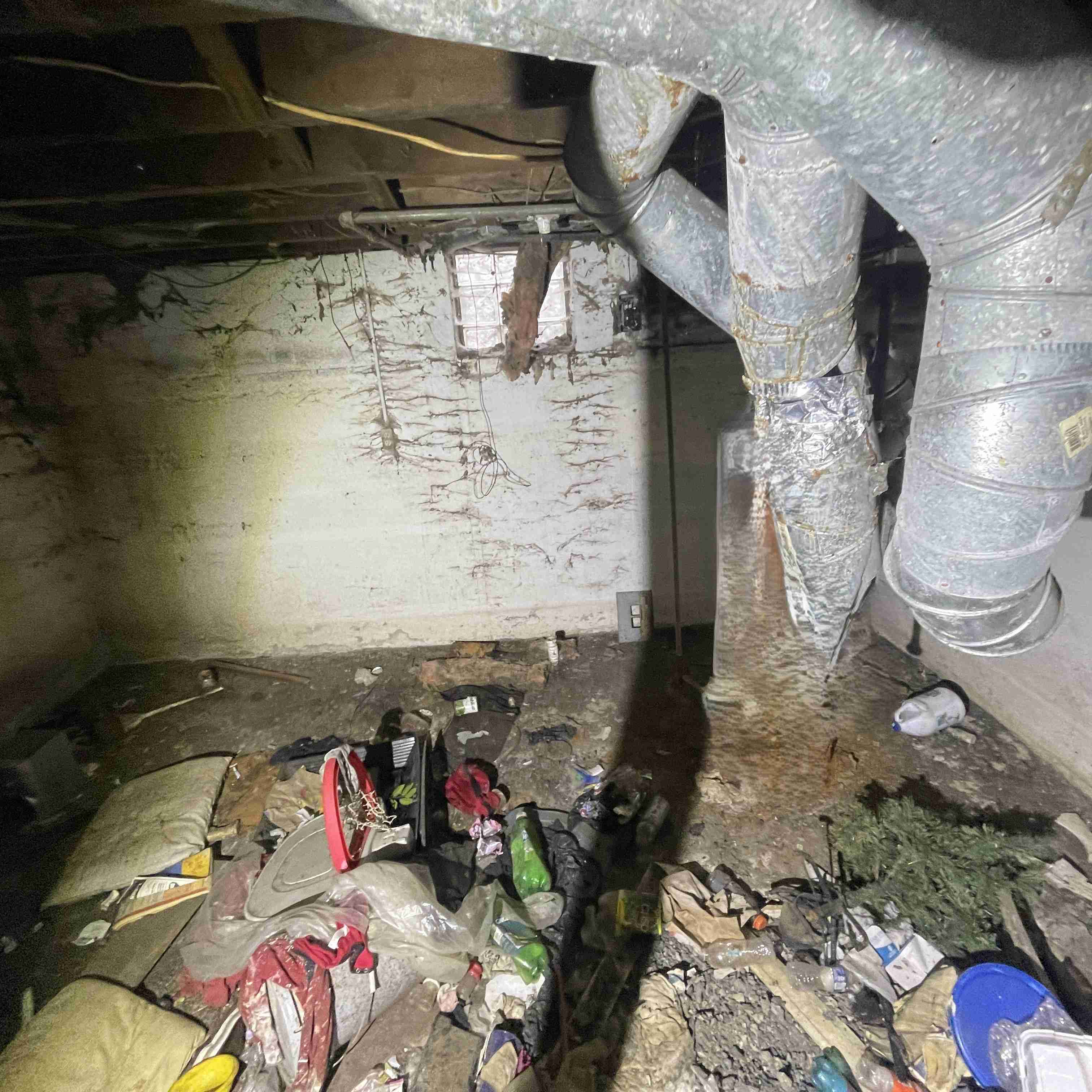 20015 Schoenherr (36).jpg